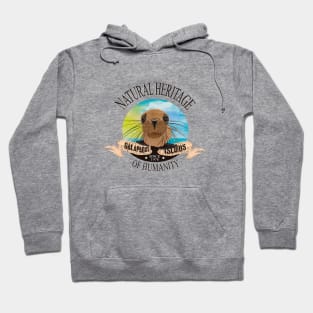 Galapagos Islands Heritage of Humanity Hoodie